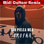 Фото Carla's Dreams - Sub Pielea Mea (Midi Culture Remix)