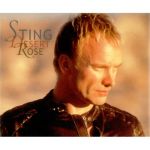 Фото Sting - Desert Of Rose (feat. Cheb Mami)