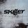 Skillet, обложка альбома