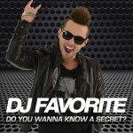 Фото DJ Favorite - Beautiful Night