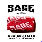 Фото Sage the Gemini - Now And Later (feat.Amice)