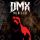 DMX, обложка альбома