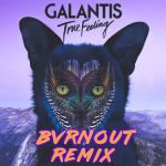 Фото Galantis - True Feeling (BVRNOUT Remix)