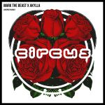 Фото Mark The Beast & Akylla - Covered In Roses VIP