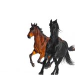 Фото Lil Nas - Old Town Road (Dj Zinc Remix) (feat.Billy Ray Cyrus)