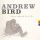 Andrew Bird, обложка альбома